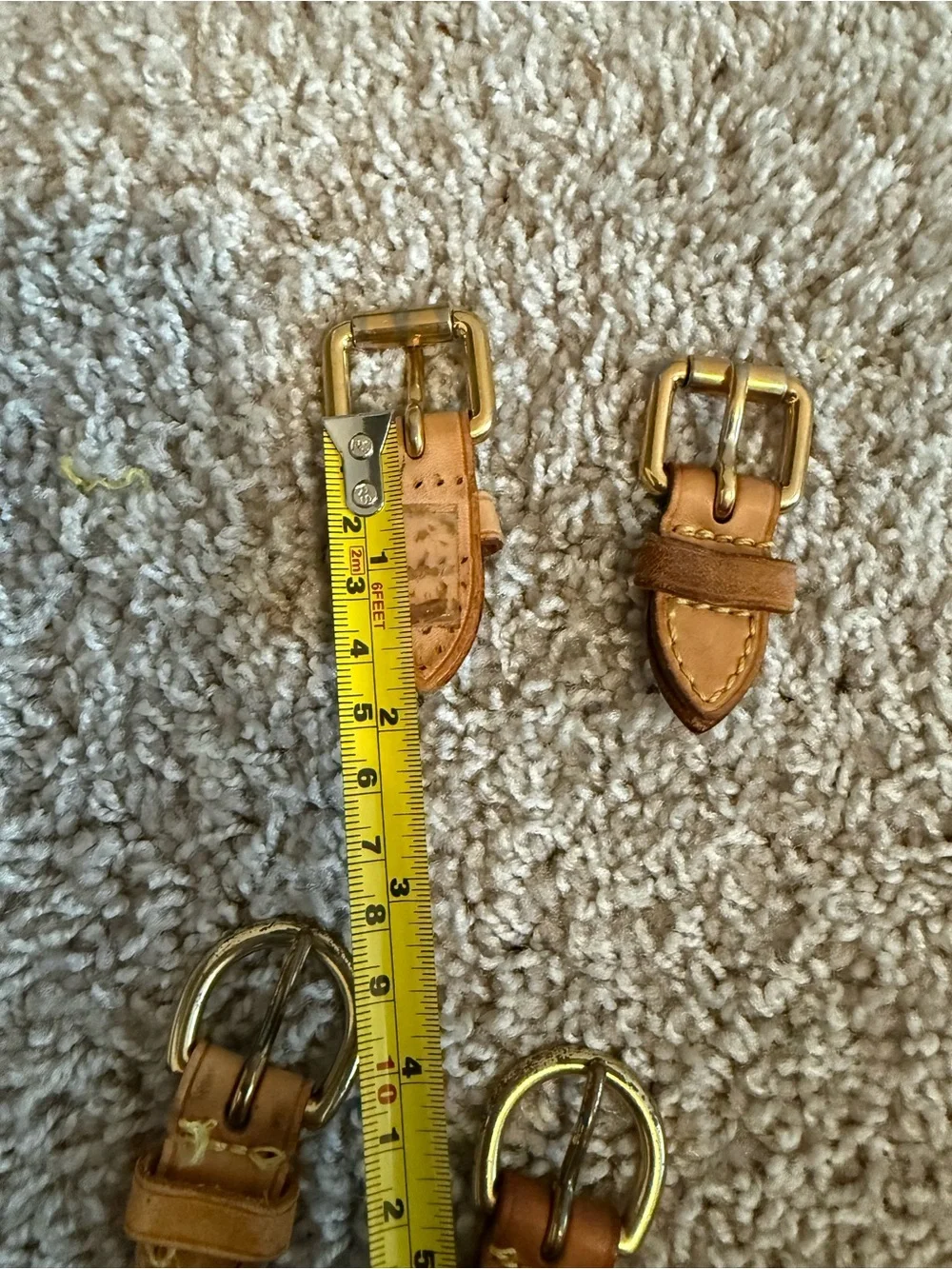 Louis Vuitton bag Buckle